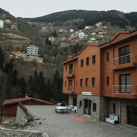 Bahri Uzungoel *